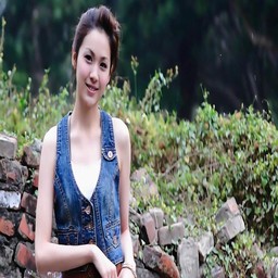 免费直播行情网站：实时数据与投资者的最佳选择